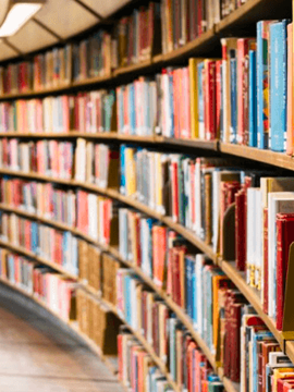 �й���BB��������ɭ(�ɷ�)���޹�˾-�ٷ���վ