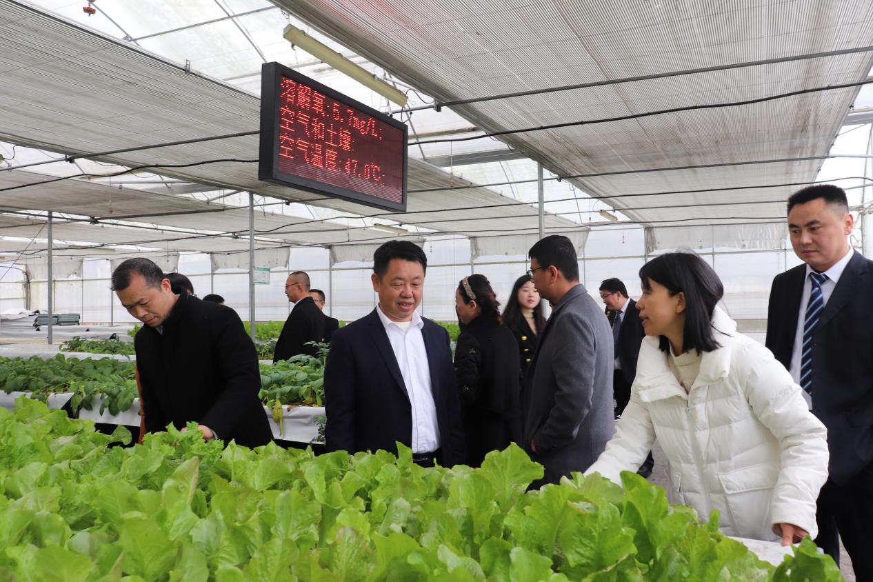 word_image_17046170315