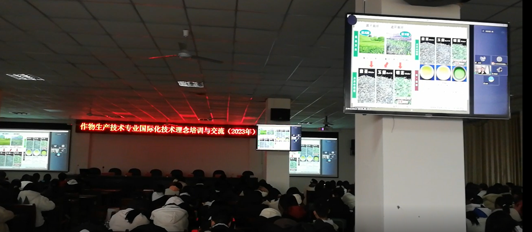 �й���BB��������ɭ(�ɷ�)���޹�˾-�ٷ���վ